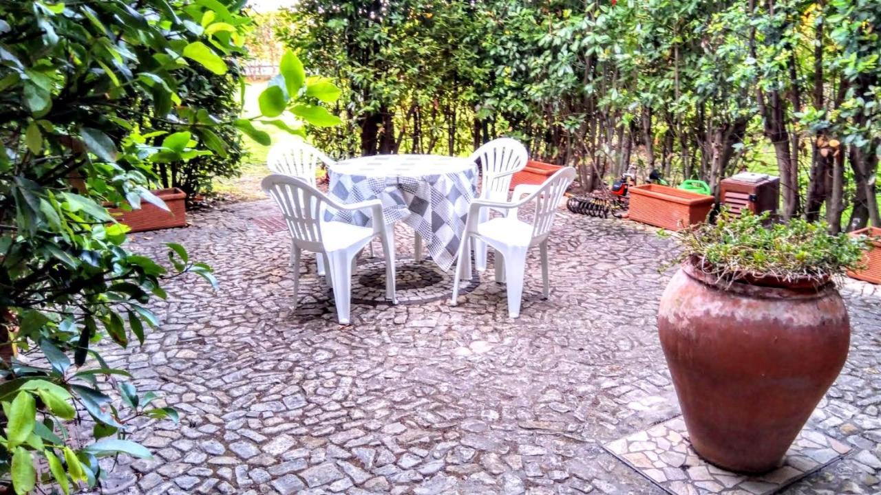 Villa Raffaello Porto San Paolo  Eksteriør billede