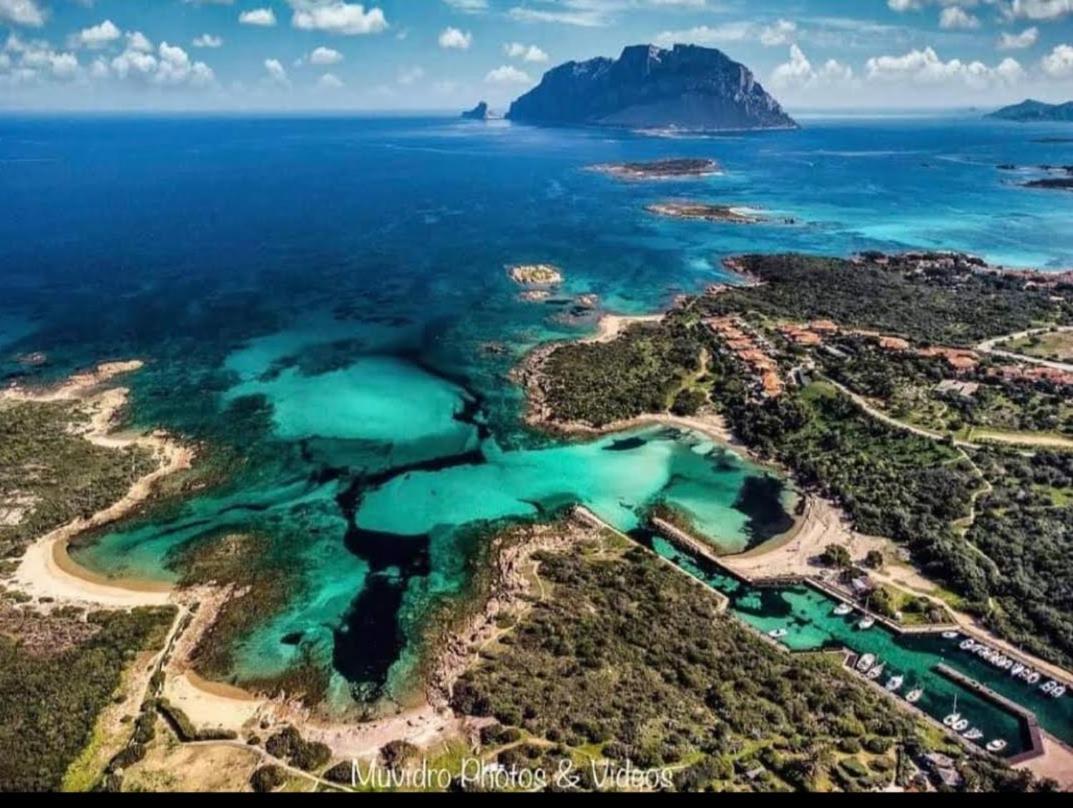 Villa Raffaello Porto San Paolo  Eksteriør billede